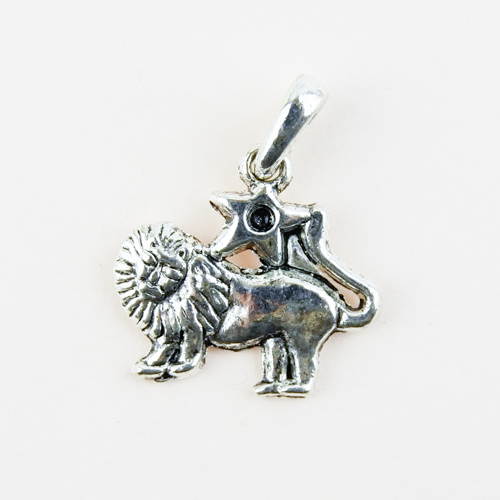 Horoscope Pendant / Charm